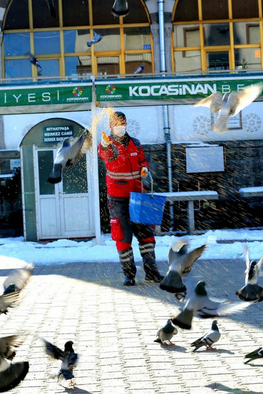 KOCASİNAN, SOKAK VE YABAN HAYVANLARINI UNUTMADI