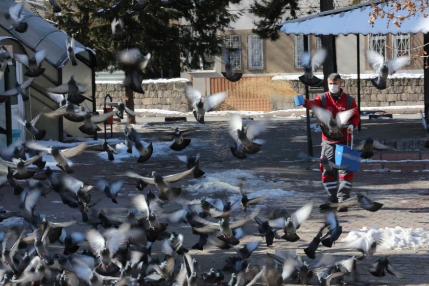 KOCASİNAN, SOKAK VE YABAN HAYVANLARINI UNUTMADI
