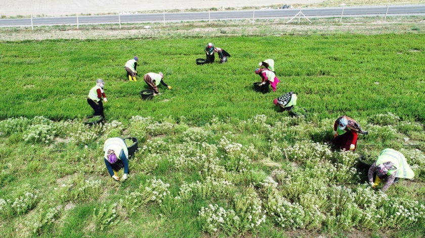 BAŞKAN ÇOLAKBAYRAKDAR, “KADINLARIMIZ, BİR ÖMÜR BOYU KIYMETLİ VE DEĞERLİDİR”