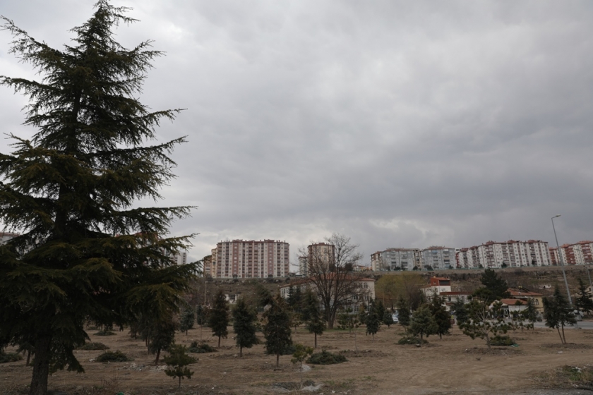 YENİ KOCASİNAN DAHA YEŞİL OLACAK