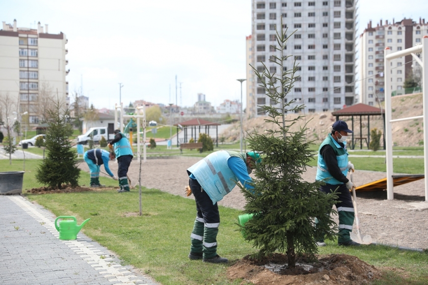 KOCASİNAN BELEDİYESİ, YEŞİL HAMLE İLE GELECEĞE NEFES OLUYOR