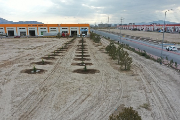 KOCASİNAN, AĞAÇ DİKİMİYLE GELECEĞE NEFES OLUYOR