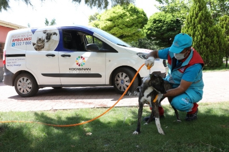 BAŞKAN ÇOLAKBAYRAKDAR, “KÜÇÜK DOSTLAR AMBULANSI, 4 BİN 401 CAN KURTARDI”