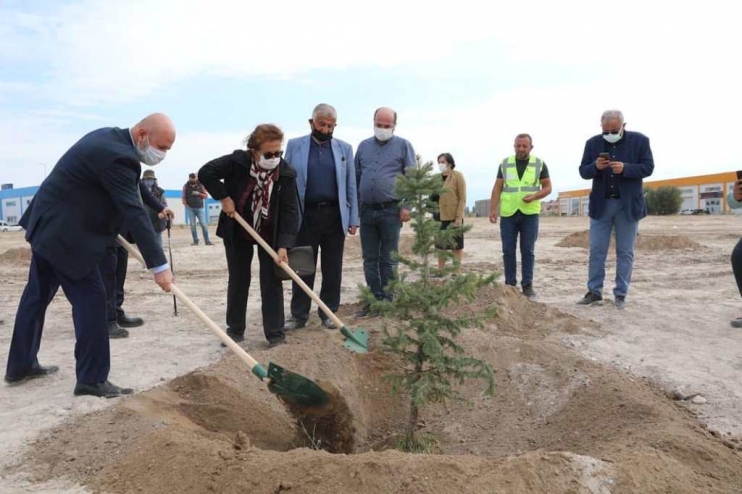 DAHA YEŞİL KOCASİNAN İÇİN YEŞİL ALANLARA SONBAHAR BAKIMI