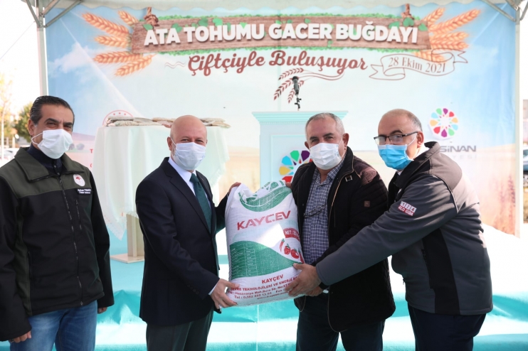 KOCASİNAN BELEDİYESİ, ÇİFTÇİLERE ATA TOHUMU GACER BUĞDAYINI DAĞITTI