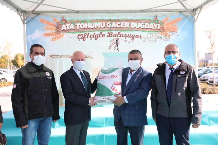KOCASİNAN BELEDİYESİ, ÇİFTÇİLERE ATA TOHUMU GACER BUĞDAYINI DAĞITTI