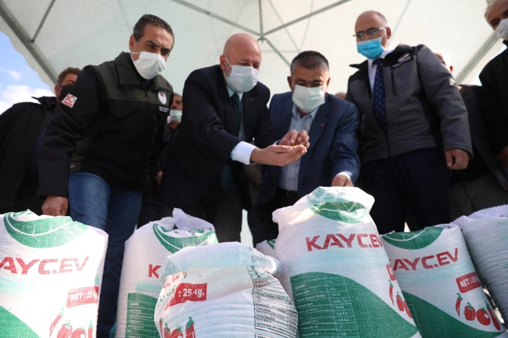 KOCASİNAN BELEDİYESİ, ÇİFTÇİLERE ATA TOHUMU GACER BUĞDAYINI DAĞITTI