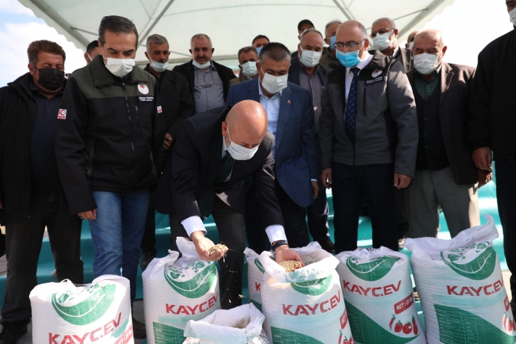 KOCASİNAN BELEDİYESİ, ÇİFTÇİLERE ATA TOHUMU GACER BUĞDAYINI DAĞITTI