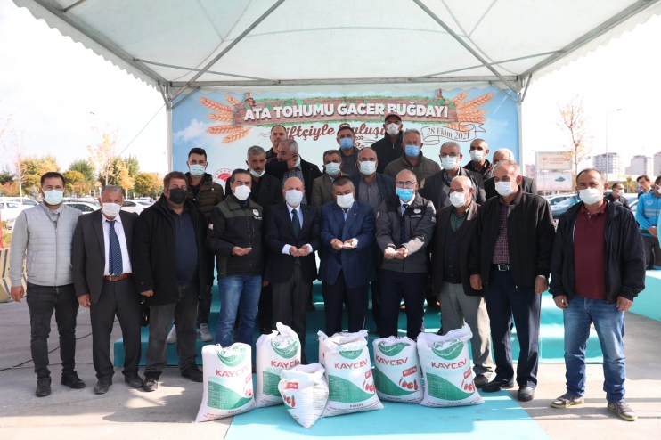 KOCASİNAN BELEDİYESİ, ÇİFTÇİLERE ATA TOHUMU GACER BUĞDAYINI DAĞITTI