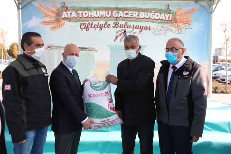 KOCASİNAN BELEDİYESİ, ÇİFTÇİLERE ATA TOHUMU GACER BUĞDAYINI DAĞITTI