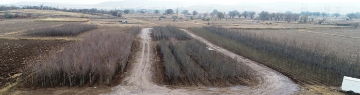 TÜRKİYE’NİN EN BÜYÜK ÜRETİM VE LOJİSTİK ÜSSÜ FİDANLIĞI KOCASİNAN’DA