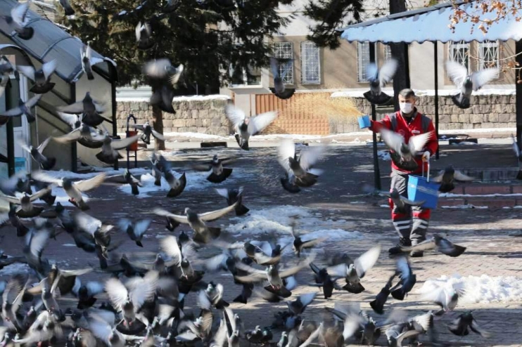 KOCASİNAN’DAN KIŞ MEVSİMİ BOYUNCA SOKAK VE YABAN HAYVANLARI İÇİN 13 TON YEM