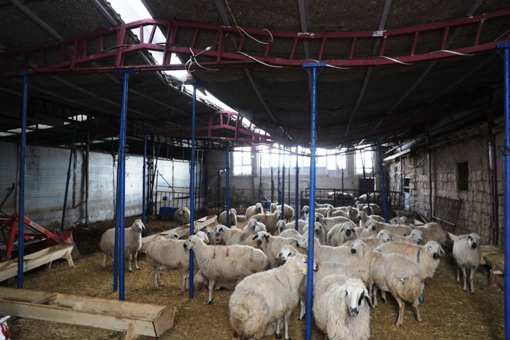 HAYVANLARI TELEF OLMAKTAN KURTARILAN ÇİFTÇİ, BAŞKAN ÇOLAKBAYRAKDAR’A TEŞEKKÜR ETTİ