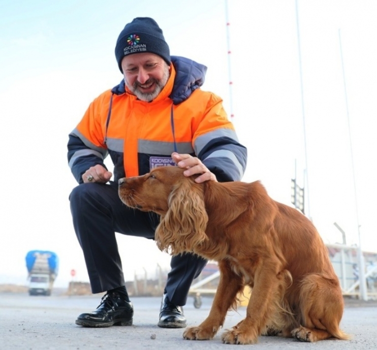 KOCASİNAN BELEDİYESİ’NDEN VETERİNERLİK PERSONELİNE SERTİFİKALI EĞİTİM