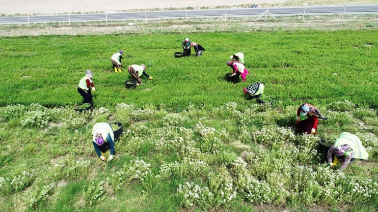 BAŞKAN ÇOLAKBAYRAKDAR, “KADINLARIMIZ, BAŞIMIZIN TACIDIR”