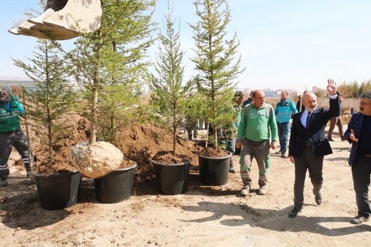 BAŞKAN ÇOLAKBAYRAKDAR, “YEŞİLLENDİRME ÇALIŞMALARIYLA ŞEHRİMİZİ DAHA DA GÜZELLEŞTİRECEĞİZ”