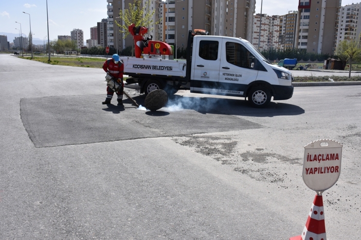 KOCASİNAN BELEDİYESİ, HAŞEREYLE MÜCADELEYE BAŞLADI
