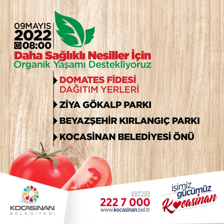 KOCASİNAN’IN DOMATES EFSANESİ GERİ DÖNDÜ