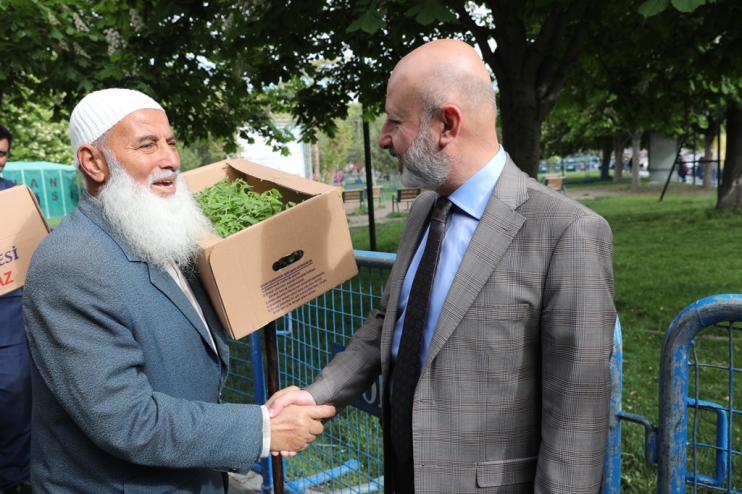 KOCASİNAN’IN ORGANİK DOMATES FİDESİNE VATANDAŞLARDAN BÜYÜK İLGİ