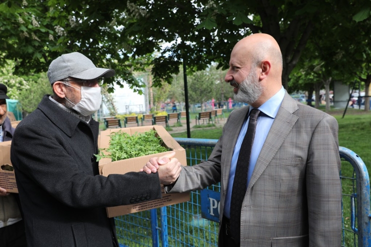 KOCASİNAN’IN ORGANİK DOMATES FİDESİNE VATANDAŞLARDAN BÜYÜK İLGİ