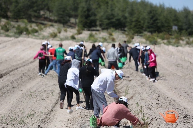 BAŞKAN ÇOLAKBAYRAKDAR, ENGELLİLER HAFTASINI FİDANLARLA TAÇLANDIRDI