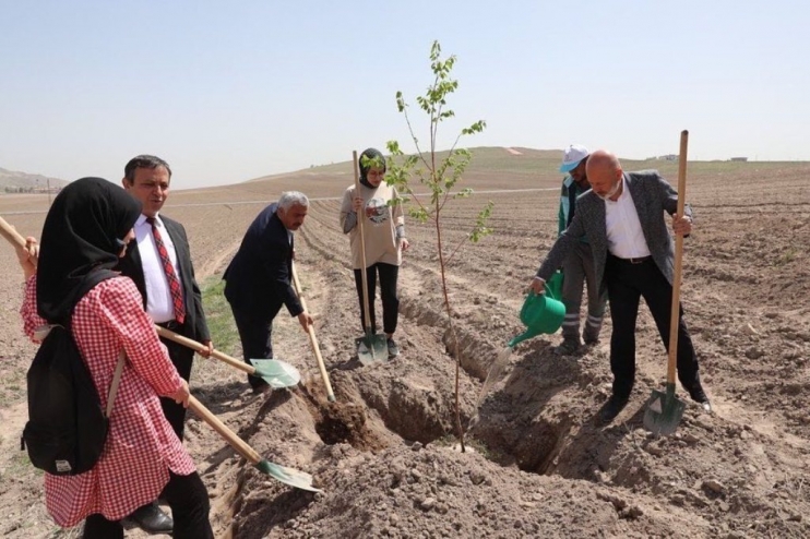 BAŞKAN ÇOLAKBAYRAKDAR’DAN VATANDAŞLARA AĞAÇLANDIRMA ÇAĞRISI