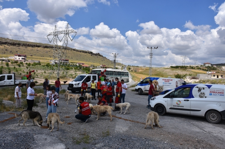 KOCASİNAN’DA GENÇLERE HAYVAN SEVGİSİ AŞILANIYOR