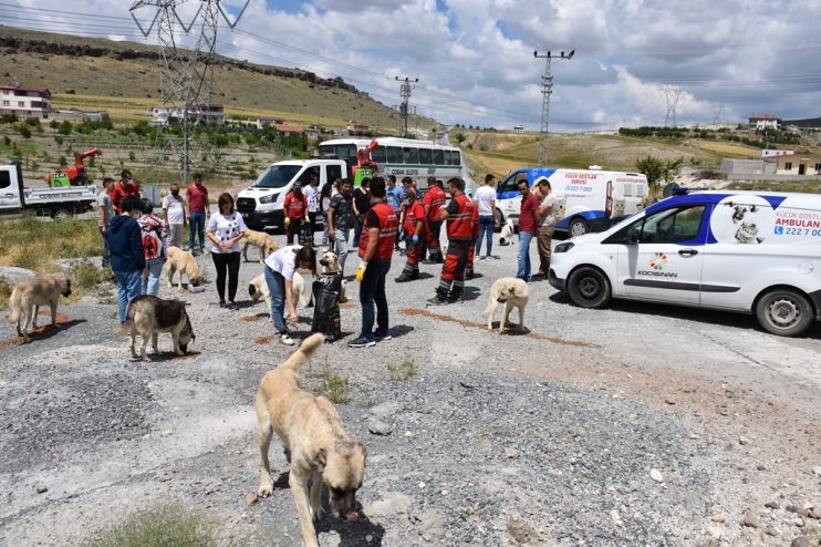 KOCASİNAN’DA GENÇLERE HAYVAN SEVGİSİ AŞILANIYOR