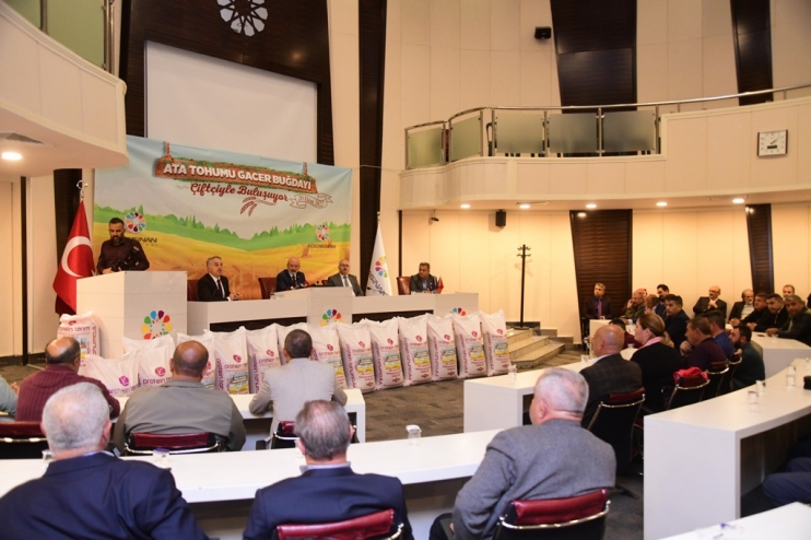 KOCASİNAN, ÇİFTÇİLERE ATA YADİGARI VE 28 KROMOZOMLU GACER BUĞDAYINI DAĞITTI