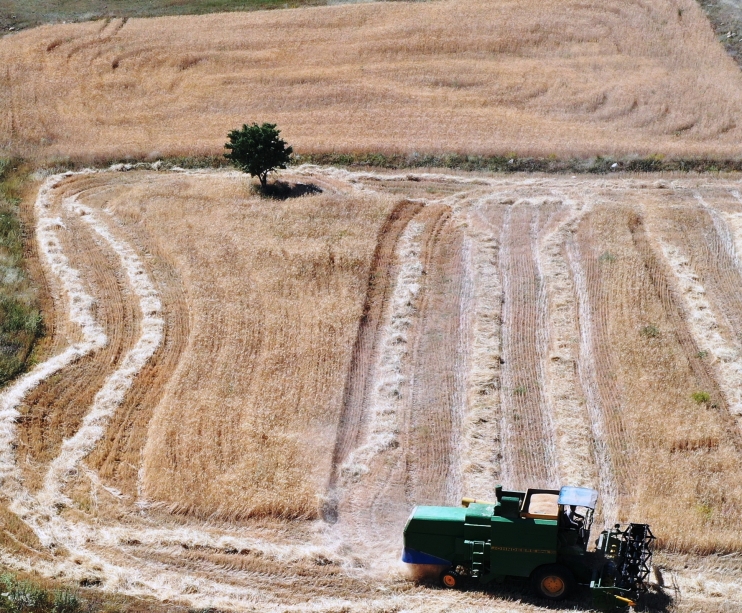 ÇİFTÇİ DOSTU BAŞKAN ÇOLAKBAYRAKDAR’IN MİLLİ VE YERLİ TOHUM HAMLESİ TAKDİR TOPLADI