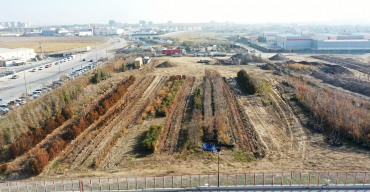 BAŞKAN ÇOLAKBAYRAKDAR; “KOCASİNAN’DA YEMYEŞİL BİR BAHAR OLACAK”