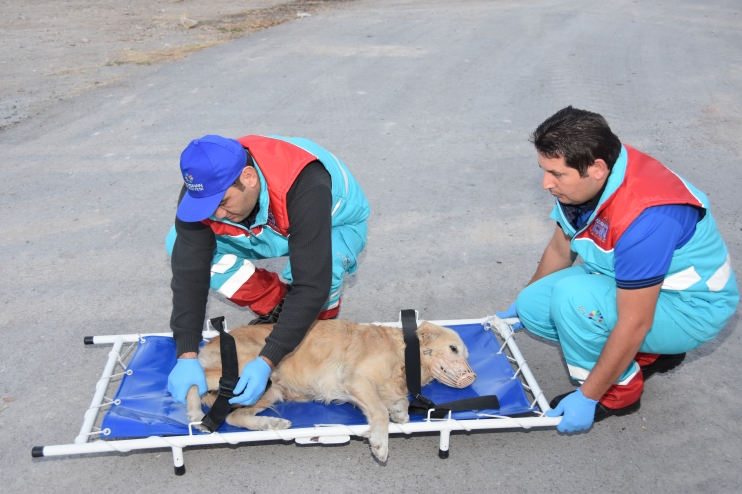 BAŞKAN ÇOLAKBAYRAKDAR; “KÜÇÜK DOSTLAR AMBULANSI 6 BİN 439 CAN KURTARDI”