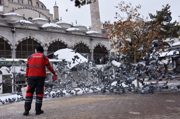KOCASİNAN’DAN SOĞUK HAVADA SOKAK HAYVANLARI İÇİN YEMLEME ÇALIŞMASI