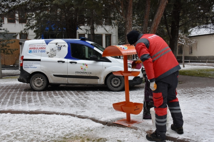 KOCASİNAN’DAN SOĞUK HAVADA SOKAK HAYVANLARI İÇİN YEMLEME ÇALIŞMASI