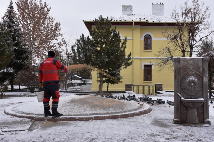 KOCASİNAN’DAN SOĞUK HAVADA SOKAK HAYVANLARI İÇİN YEMLEME ÇALIŞMASI