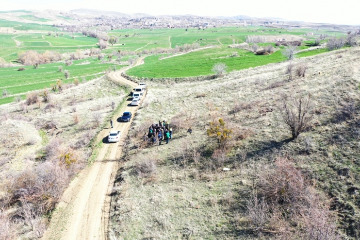 KOCASİNAN’DA YABANİ ALIÇ AĞAÇLAR, EKONOMİK DEĞERE DÖNÜŞÜYOR