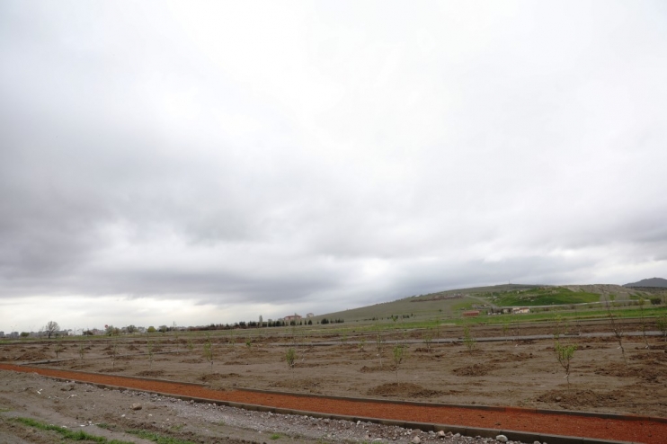 BAŞKAN ÇOLAKBAYRAKDAR’DAN KAYSERİ’DE YİNE İLK OLAN MEYVE BAHÇELİ PARK PROJESİ