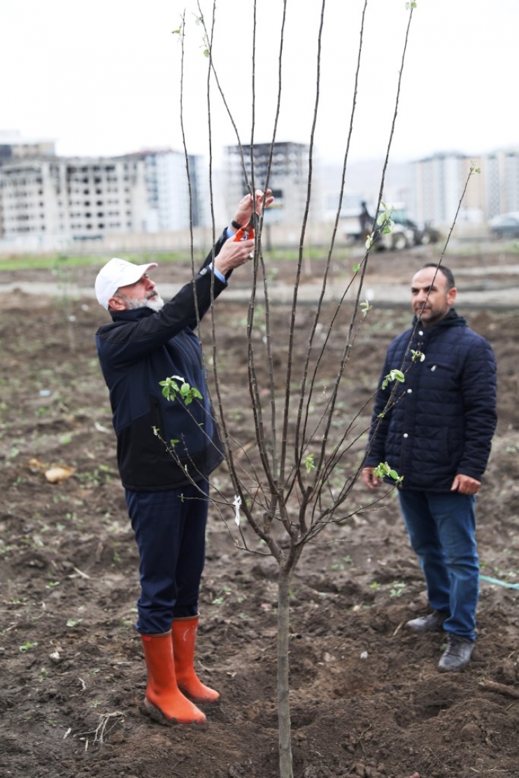 BAŞKAN ÇOLAKBAYRAKDAR’DAN KAYSERİ’DE YİNE İLK OLAN MEYVE BAHÇELİ PARK PROJESİ