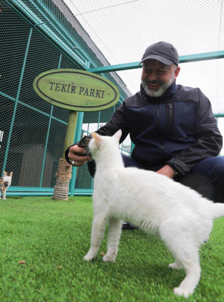 KAYSERİ’DE YİNE İLK OLAN ‘KÜÇÜK DOSTLAR KEDİ KASABASI’