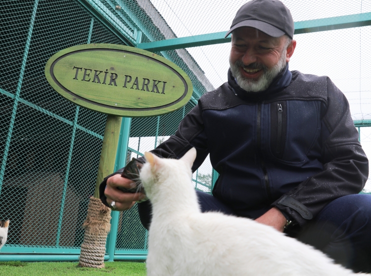 KAYSERİ’DE YİNE İLK OLAN ‘KÜÇÜK DOSTLAR KEDİ KASABASI’