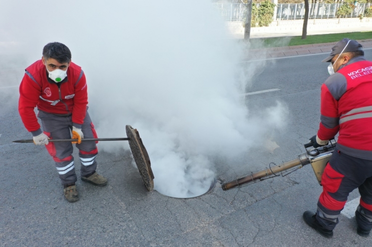 KOCASİNAN BELEDİYESİ’NDEN HUZURLU BİR YAZ İÇİN HAŞERE İLE MÜCADELE