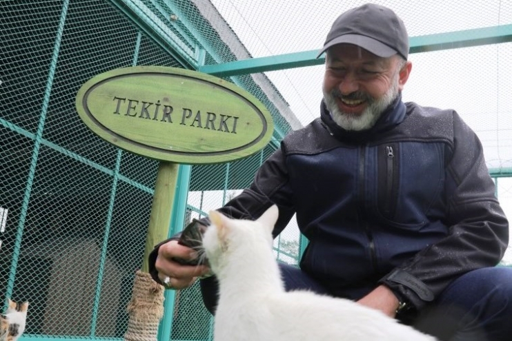KAYSERİ’DE İLK OLAN SEVİMLİ PATİLER İÇİN ‘KÜÇÜK DOSTLAR KEDİ KASABASI’ AÇILIYOR