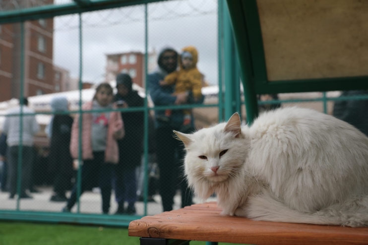 KAYSERİ’DE İLK OLAN SEVİMLİ PATİLER İÇİN ‘KÜÇÜK DOSTLAR KEDİ KASABASI’ AÇILDI