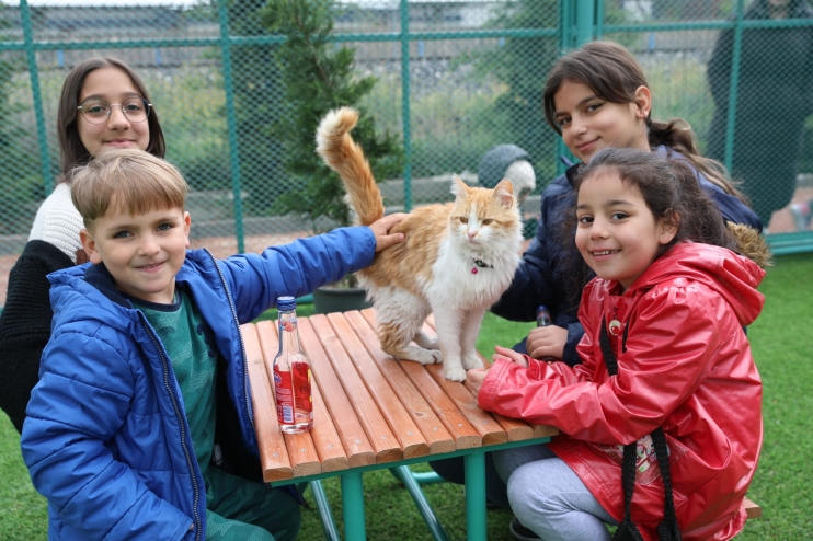 KAYSERİ’DE İLK OLAN SEVİMLİ PATİLER İÇİN ‘KÜÇÜK DOSTLAR KEDİ KASABASI’ AÇILDI