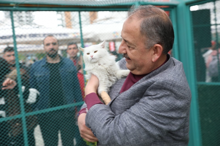 KAYSERİ’DE İLK OLAN SEVİMLİ PATİLER İÇİN ‘KÜÇÜK DOSTLAR KEDİ KASABASI’ AÇILDI