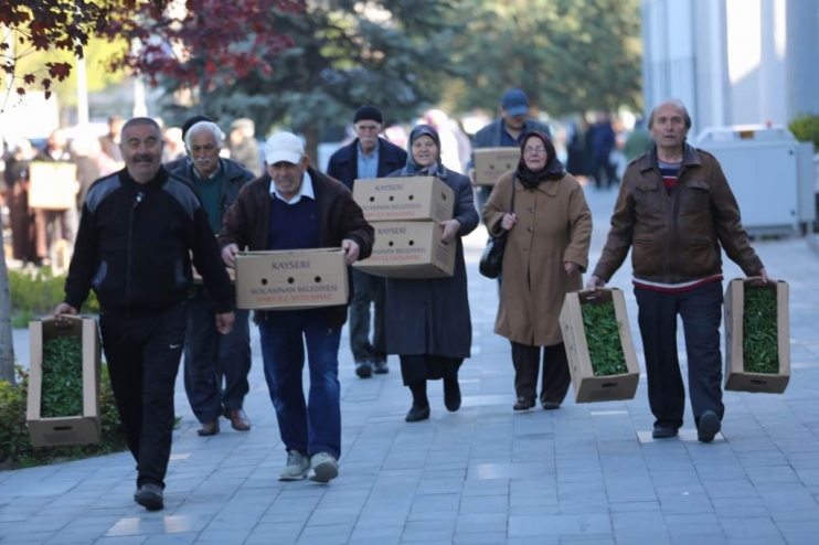 KOCASİNAN BELEDİYESİ’NİN ORGANİK DOMATES FİDESİNE VATANDAŞLARDAN BÜYÜK İLGİ