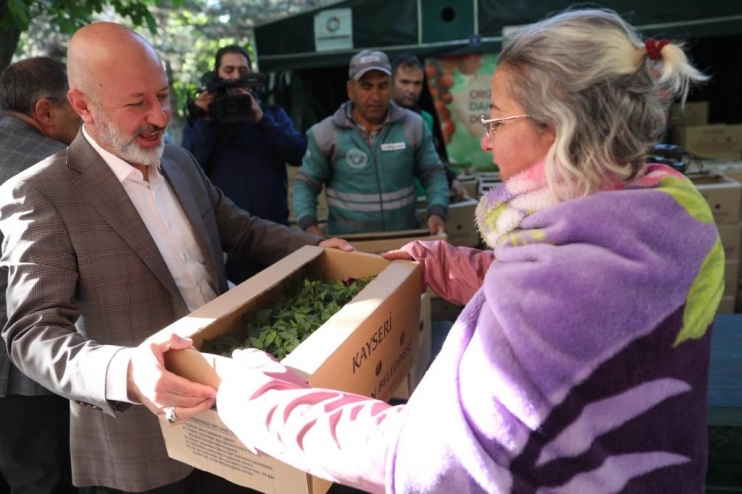 KOCASİNAN BELEDİYESİ’NİN ORGANİK DOMATES FİDESİNE VATANDAŞLARDAN BÜYÜK İLGİ