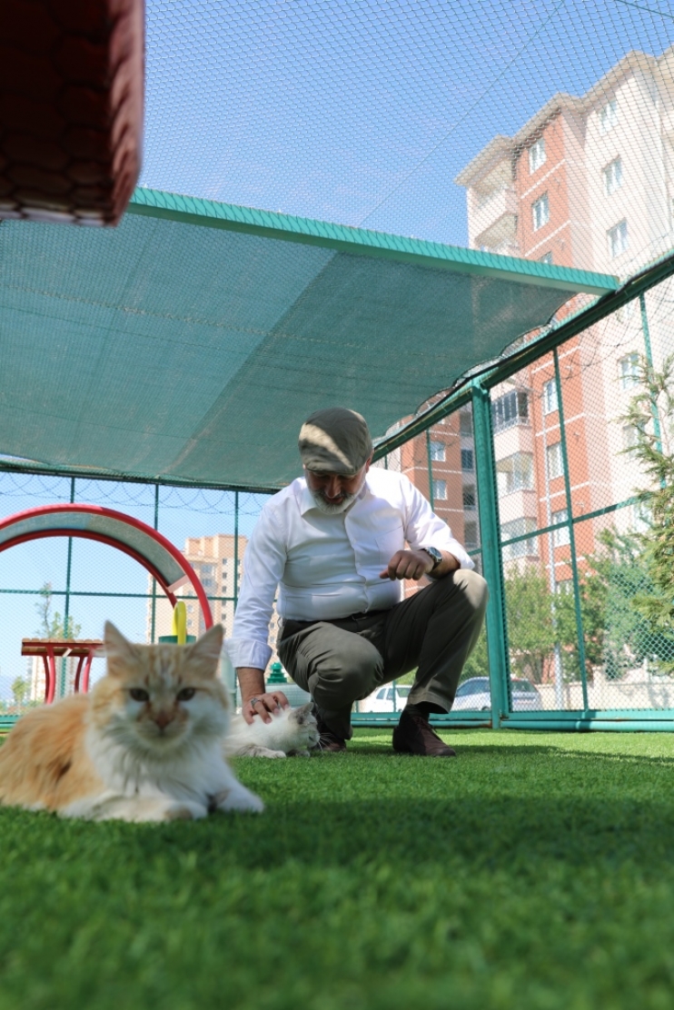 KAYSERİ’DE İLK OLAN ‘KÜÇÜK DOSTLAR KEDİ KASABASI’ ULUSLARARASI AJANSLARDA DA GÜNDEM OLUŞTURDU