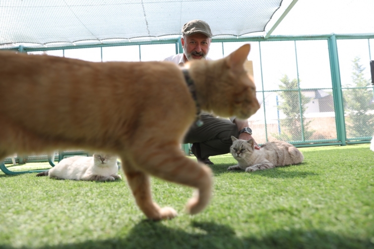 KAYSERİ’DE İLK OLAN ‘KÜÇÜK DOSTLAR KEDİ KASABASI’ ULUSLARARASI AJANSLARDA DA GÜNDEM OLUŞTURDU