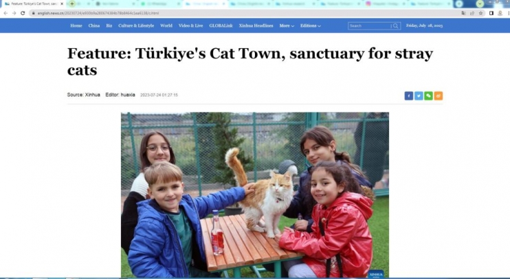 KAYSERİ’DE İLK OLAN ‘KÜÇÜK DOSTLAR KEDİ KASABASI’ ULUSLARARASI AJANSLARDA DA GÜNDEM OLUŞTURDU